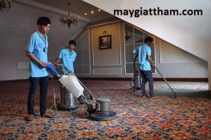 các loại máy giặt thảm bằng hơi nước nóng đang được sử dụng rộng rãi