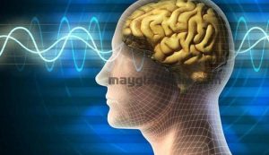 Hậu quả khi tiếp xúc với điện từ trường là gì?