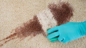 Có thể sử dụng hóa chất để giặt thảm lông