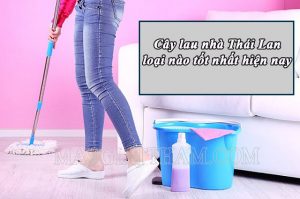 Cây lau nhà Thái Lan loại nào tốt nhất hiện nay