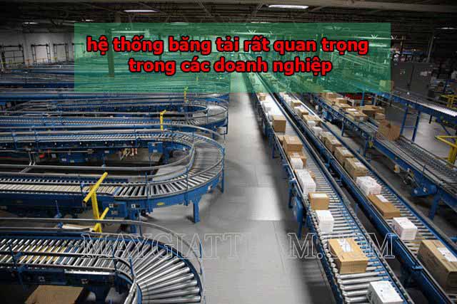 Băng tải được các doanh nghiệp sử dụng rất nhiều