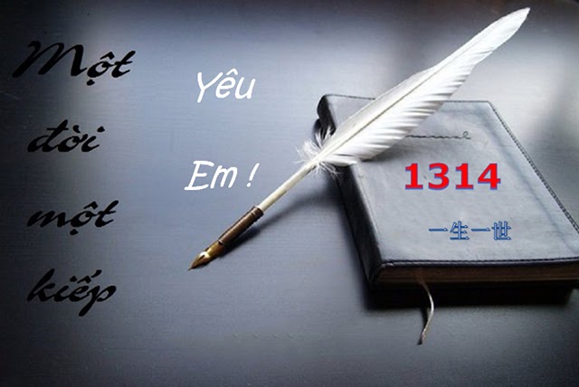 1314 có nghĩa là gì và nguồn gốc của 1314