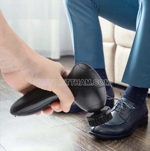 Máy đánh giày ZYEarth