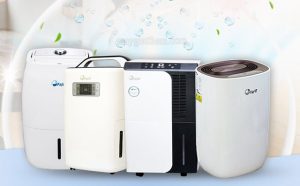 Máy hút ẩm Nhật Bản Fujie