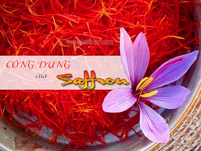 Tìm hiểu về các công dụng của saffron có thực sự “thần thánh”?