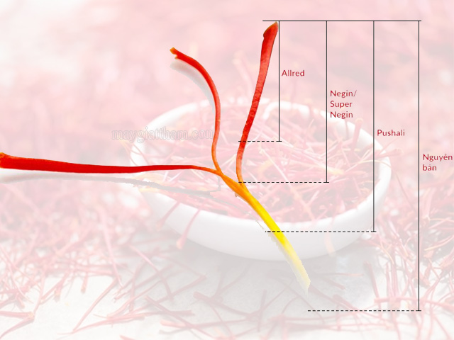 Cách phân loại của saffron theo cách ngắt sợi