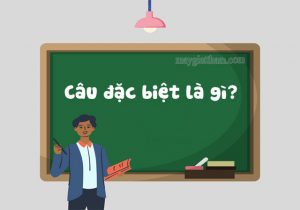 Câu đặc biệt là gì?