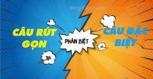 Hai kiểu câu này có những điểm giống và khác nhau