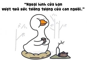 Hãy sử dụng cách chửi thanh lịch nhé