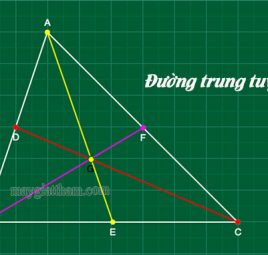 Tính chất, công thức tính đường trung tuyến là gì?