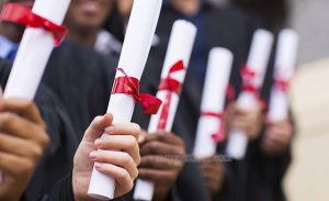 Nhân văn còn là một ngành học